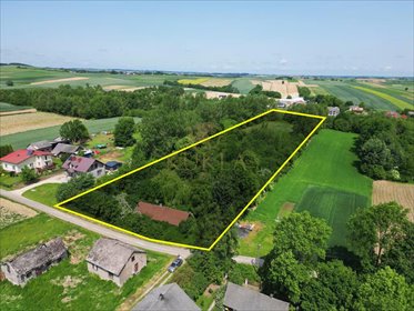 działka na sprzedaż 10803m2 działka Wielkanoc