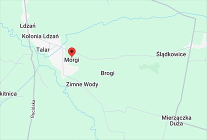 Działka na sprzedaż 1000m2 działka Ldzań, Morgi