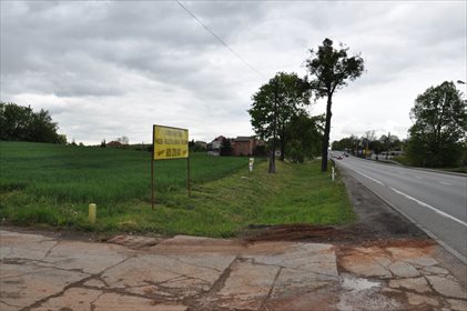 Działka inna na sprzedaż Gniszewo 6 695m2 Foto 6