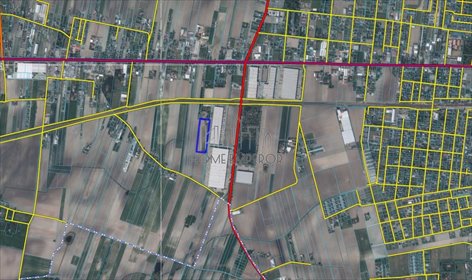 Zapraszam do zakupu działki 22 000 m² w Ołtarzewie działka Ołtarzew, Południowa