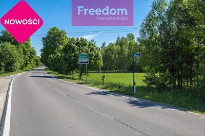 Działka leśna na sprzedaż Derylaki 2 572m2 Foto 7