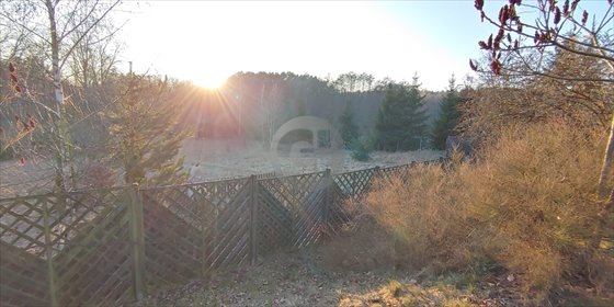 Na sprzedaż przestronny dom 185 m² na 1,2 ha z kominkiem i pięknym widokiem dom Sokola Dąbrowa