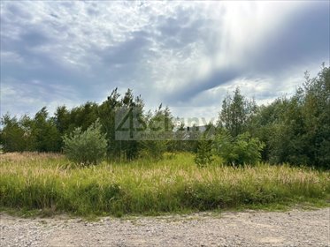 Zapraszam do zakupu działki 1227 m² z warunkami zabudowy w Ursynowie działka Warszawa, Ursynów