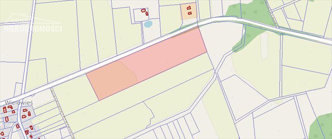 działka na sprzedaż 57900m2 działka Wielowieś, Wielowieś