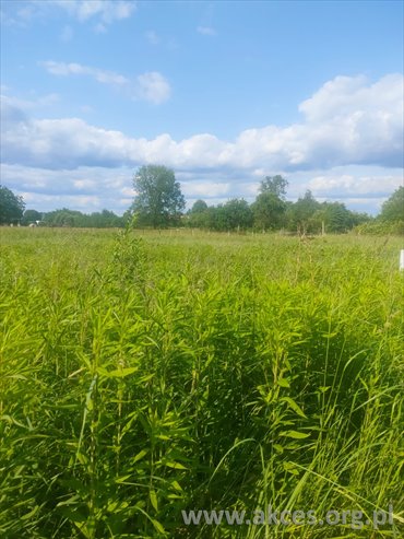 działka na sprzedaż 1598m2 działka Piaski, Piaski