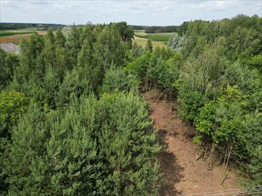 działka na sprzedaż 1146m2 działka Stare Orzechowo