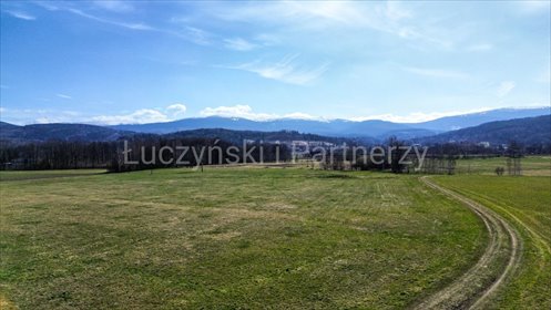 Działka 9000 m² z widokiem na Karkonosze (Podgórzyn) działka Podgórzyn