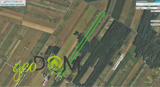 Działka rolna na sprzedaż Pojelce 38 830m2 Foto 1