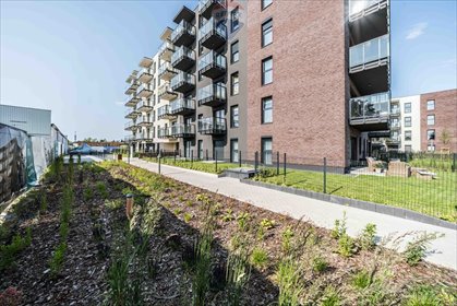 mieszkanie na wynajem 42m2 mieszkanie Poznań, Włościańska