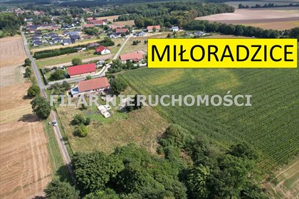 działka na sprzedaż 1000m2 działka Miłoradzice