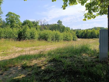 działka na sprzedaż 1013m2 działka Leśniewo, Pucka