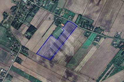 Działka inwestycyjna 5,43ha z planem pod osiedle domów działka Kozielec