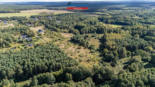 Polecam działkę rekreacyjną 613 m² w Skórce z możliwością budowy domku działka Skórka