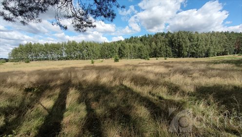 działka na sprzedaż 3182m2 działka Komarowo