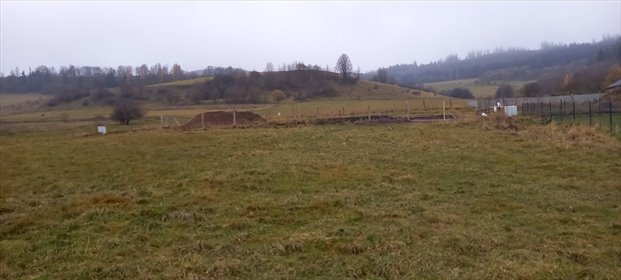 działka na sprzedaż 1410m2 działka Czarny Bór