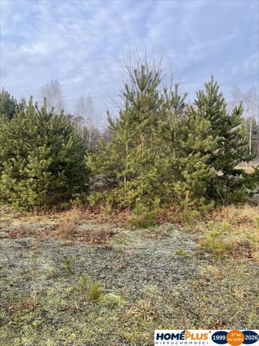 działka na sprzedaż 2050m2 działka Józefów