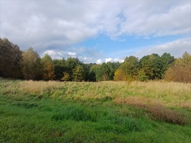 działka na sprzedaż 4792m2 działka Wodzisław Śląski