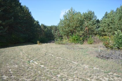 działka na sprzedaż 1427m2 działka Przyłęk