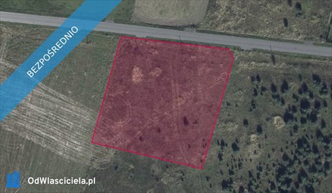 działka na sprzedaż 3033m2 działka Grzybowo