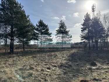 Działka 1211 m² z dostępem do mediów i zielenią działka Kuklówka Zarzeczna