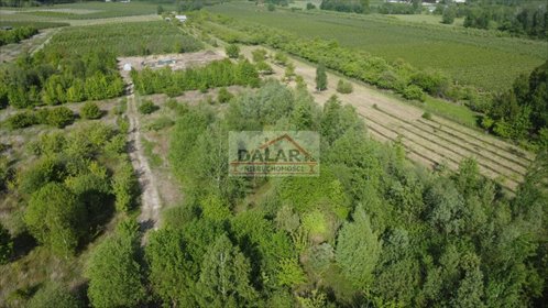 działka na sprzedaż 3000m2 działka Adamów Rososki