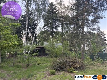 Sprzedam działkę 800 m² z domkiem i przyłączem prądu działka Nowe Załubice