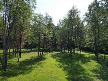 Działka 4542 m² w Żałe (blisko jeziora, staw, las) działka Żałe