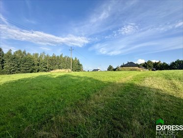 Działka budowlana na sprzedaż Lipowa, Promienna 1 747m2 Foto 3