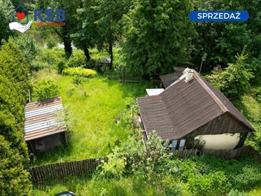 działka na sprzedaż 1100m2 działka Czekarzewice Pierwsze