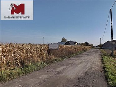 Działka budowlana na sprzedaż Dąbrówka Górna, Polna 6 250m2 Foto 2