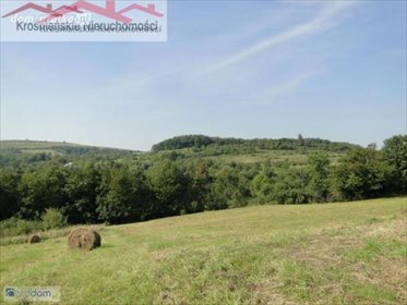 działka na sprzedaż 106200m2 działka Ustrzyki Dolne
