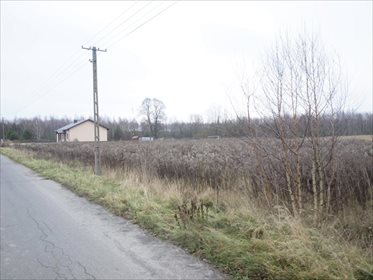 Działka budowlana na sprzedaż Horbów-Kolonia 10 000m2 Foto 4