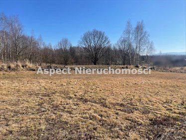 Działka budowlana na sprzedaż Skrzyszów 2 700m2 Foto 2