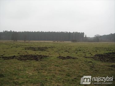 działka na sprzedaż 9900m2 działka Żdżary, Centrum