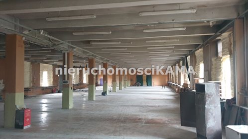 magazyn na wynajem 1225m2 magazyn Bielsko-Biała, Centrum