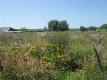 działka na sprzedaż 4000m2 działka Biszcza