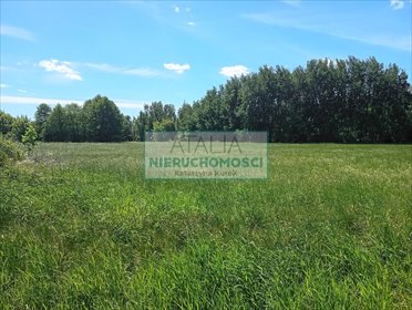 Działka 3700m² w Kozery z mediami, cicha okolica - polecam! działka Kozery