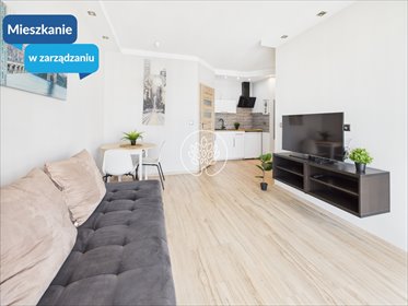 Wynajmę funkcjonalne 30 m² mieszkanie z balkonem w Fordonie mieszkanie Bydgoszcz, Fordon, Sybiraków