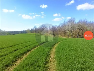Działka budowlana na sprzedaż Kruków 1 200m2 Foto 1