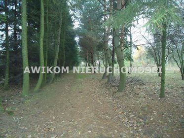 Polecam dużą działkę 6300 m² z domkiem, stawem i lasem działka Adamowice