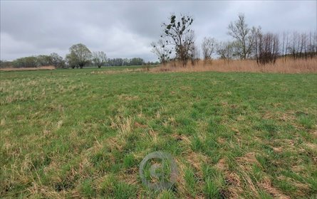 działka na sprzedaż 1126m2 działka Prądocin