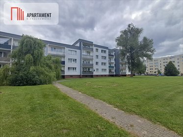 Do sprzedania przestronne 3-pokojowe mieszkanie 69 m² z loggią w Pruszczu Gdańskim mieszkanie Pruszcz Gdański, gen. Władysława Sikorskiego