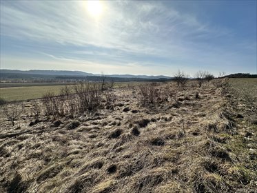 Działka rekreacyjna na sprzedaż Chrząstowice 930m2 Foto 3