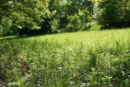 Działka rolna na sprzedaż Tomaszowice, ul. Podskalany 1 600m2 Foto 3