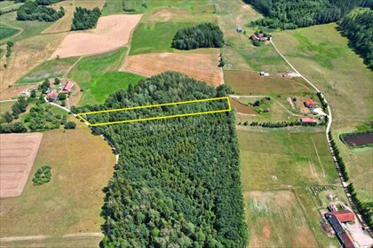 Działka leśna 3000 m² z osikami, dojazd utwardzony. działka Kukowo