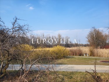 Działka budowlana na sprzedaż Warszawa, Wilanów, Europejska 2 689m2 Foto 4