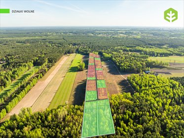 Sprzedam działki 704 m² w Tłuszczu - las, blisko Warszawy działka Tłuszcz, Ostatnie działki k/Tłuszczu w takiej cenie!