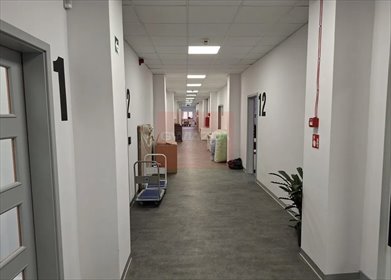 Biuro 520 m2 w budynku z klimatyzacją i parkingiem. lokal użytkowy Warszawa, Żoliborz