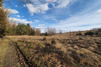 działka na sprzedaż 6380m2 działka Zagrody