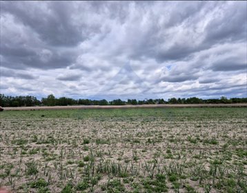 Działka usługowa 8 700 m² z MPZP, potencjał inwestycyjny działka Warszawa, Ursynów